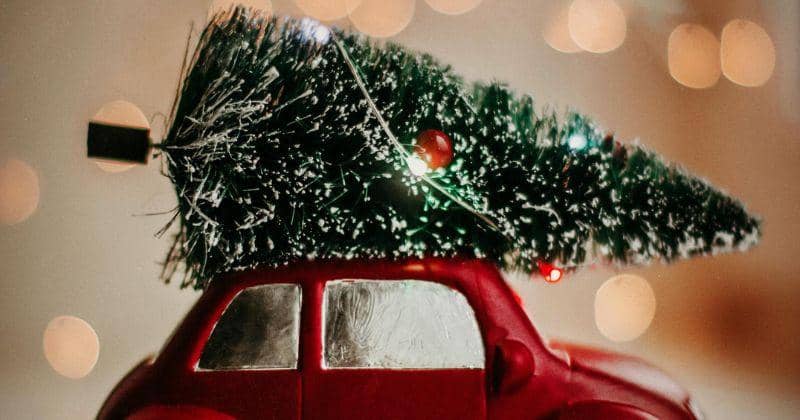 Pexels/Kristina Paukshtite